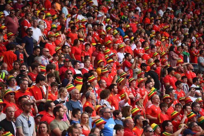 160623 - Wales v Armenia - UEFA European Championship Qualifers - Wales supporters