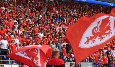 160623 - Wales v Armenia - UEFA European Championship Qualifers - Wales supporters