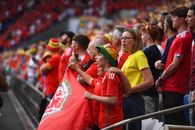 160623 - Wales v Armenia - UEFA European Championship Qualifers - Wales supporters