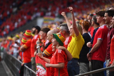 160623 - Wales v Armenia - UEFA European Championship Qualifers - Wales supporters