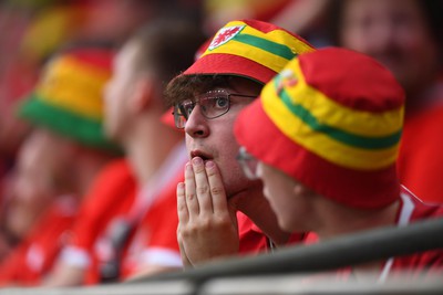 160623 - Wales v Armenia - UEFA European Championship Qualifers - Wales supporters