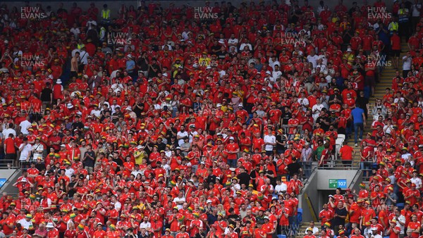 160623 - Wales v Armenia - UEFA European Championship Qualifers - Wales supporters