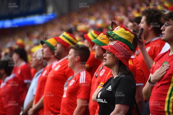 160623 - Wales v Armenia - UEFA European Championship Qualifers - Wales supporters