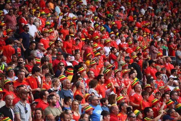 160623 - Wales v Armenia - UEFA European Championship Qualifers - Wales supporters