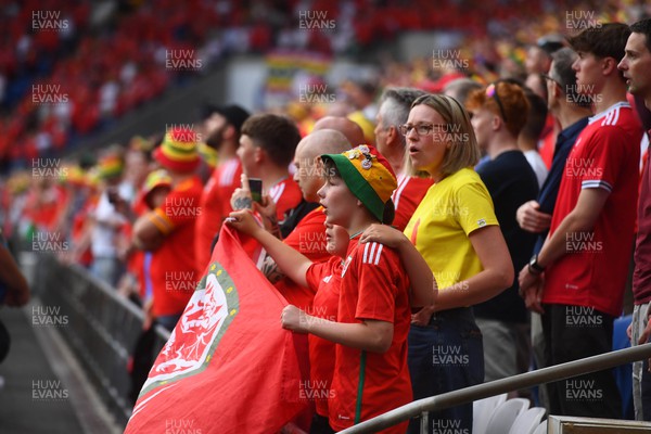 160623 - Wales v Armenia - UEFA European Championship Qualifers - Wales supporters