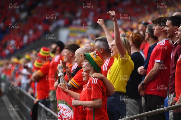 160623 - Wales v Armenia - UEFA European Championship Qualifers - Wales supporters
