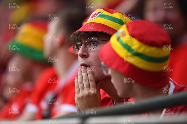 160623 - Wales v Armenia - UEFA European Championship Qualifers - Wales supporters