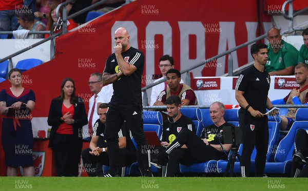 160623 - Wales v Armenia - UEFA European Championship Qualifers - Wales manager Rob Page looks dejected