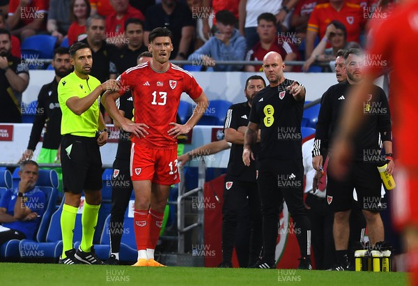 160623 - Wales v Armenia - UEFA European Championship Qualifers - Kieffer Moore of Wales after being sent off with Wales manager Rob Page