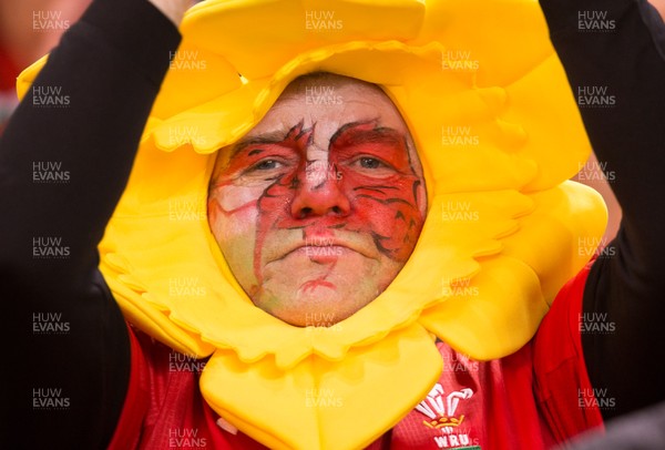 101118 - Wales v Australia, Under Armour Series 2018 - Wales rugby fans at principality Stadium