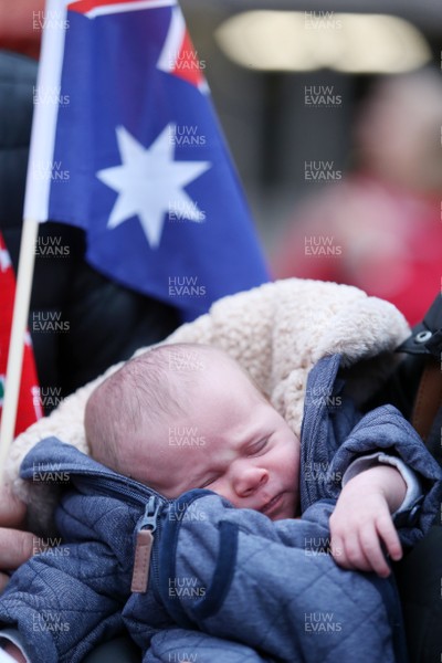 111117 - Wales v Australia - Under Armour Series 2017 - Picture shows Jack Williams, the youngest fan at todays game at only 12 days old and is half Australian and half Welsh