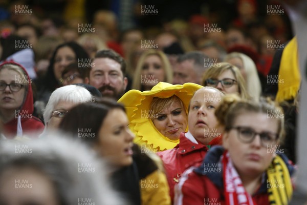 111117 - Wales v Australia - Under Armour Series 2017 - Wales fans