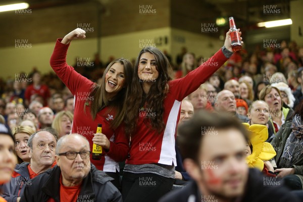 111117 - Wales v Australia - Under Armour Series 2017 - Wales fans