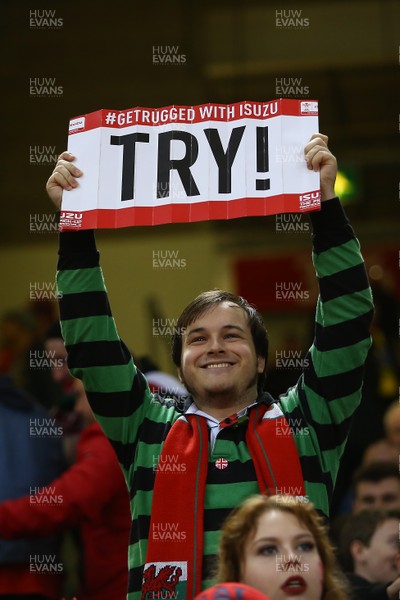 111117 Wales v Australia - Under Armour 2017 Series -  Fans of Wales celebrate a try