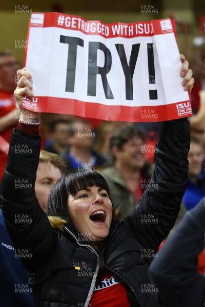 111117 Wales v Australia - Under Armour 2017 Series -  Fans of Wales celebrate a try