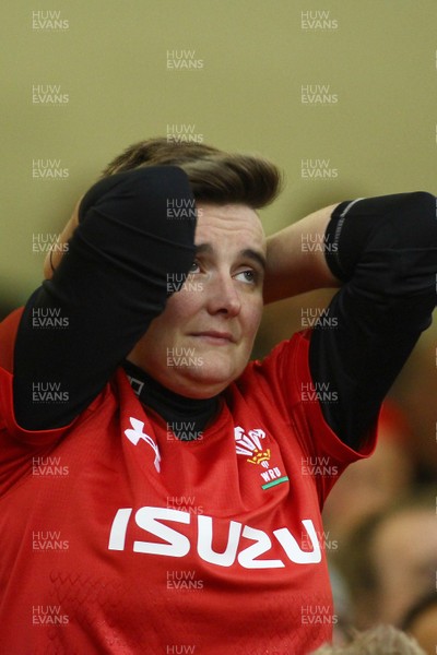 111117 Wales v Australia - Under Armour 2017 Series -  A dejected Welsh fan at the end of the game