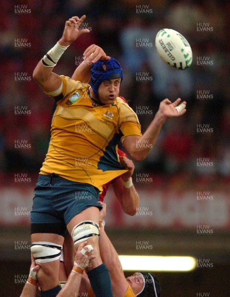 14.09.07 - Wales v Australia - Rugby World Cup 2007 -  Australia's Nathan Sharpe wins line-out ball 