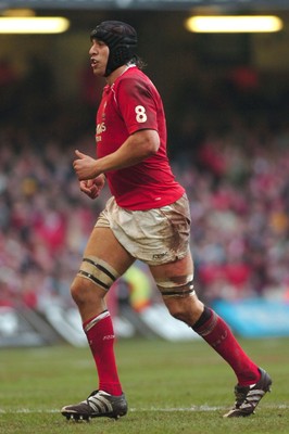 04.11.06 - Wales v Australia - Invesco Perpetual Series 2006 - Wales' Ryan Jones 