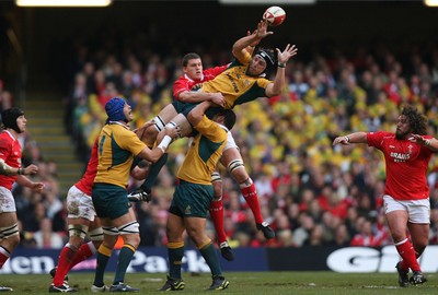 04.11.06  Wales v Australia, Invesco Perpetual Series 2006 Australia's Dan Vickerman claims lineout from Ian Jones 