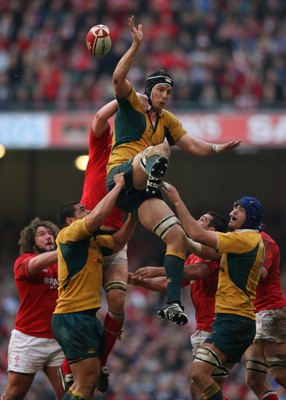 04.11.06  Wales v Australia, Invesco Perpetual Series 2006 Australia's Dan Vickerman wins lineout 