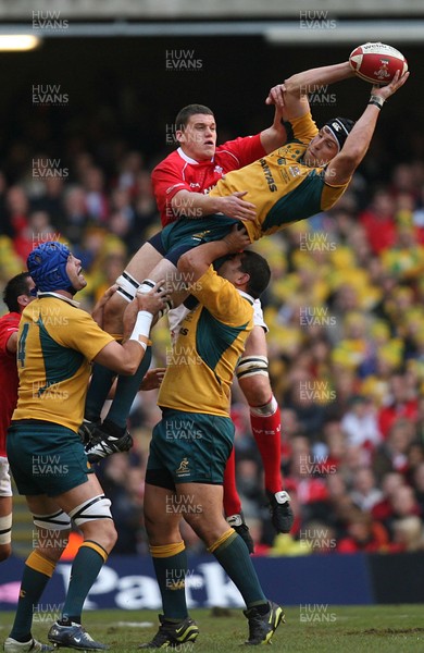 04.11.06  Wales v Australia, Invesco Perpetual Series 2006 Australia's Dan Vickerman claims lineout from Ian Jones 