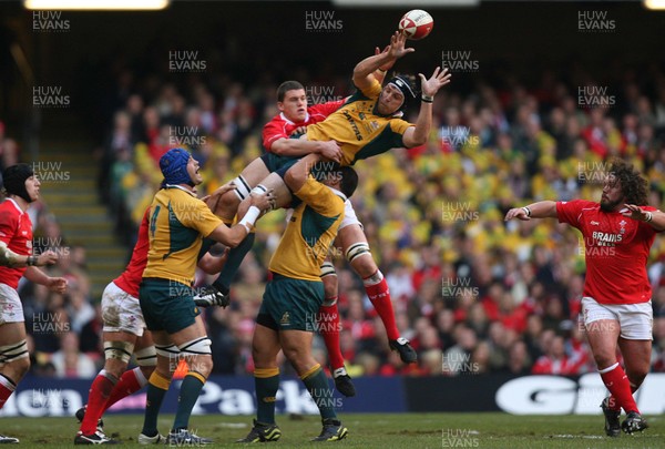 04.11.06  Wales v Australia, Invesco Perpetual Series 2006 Australia's Dan Vickerman claims lineout from Ian Jones 