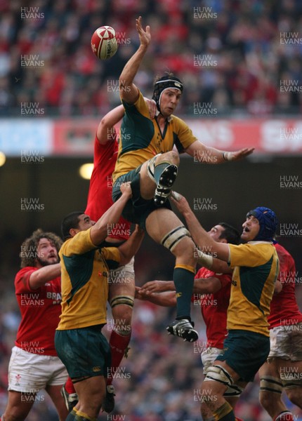 04.11.06  Wales v Australia, Invesco Perpetual Series 2006 Australia's Dan Vickerman wins lineout 