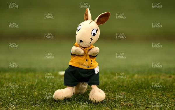 201121 - Wales v Australia - Autumn Nations Series - Australia kangaroo mascot