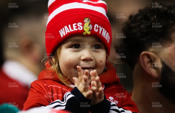 201121 - Wales v Australia, 2021 Autumn Nations Series - A young Wales fan enjoys the match 