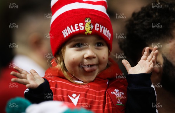 201121 - Wales v Australia, 2021 Autumn Nations Series - A young Wales fan enjoys the match 