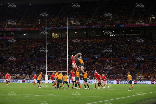 240923 - Wales v Australia - Rugby World Cup France 2023 - Pool C - Aaron Wainwright of Wales wins the line out