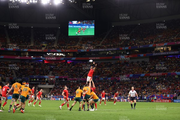240923 - Wales v Australia - Rugby World Cup France 2023 - Pool C - Taulupe Faletau of Wales wins the line out