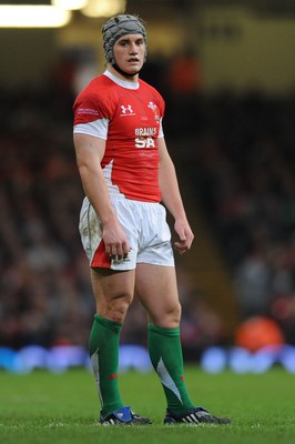 28.11.09 - Wales v Australia - Invesco Perpetual Series 2009 - Wales' Jonathan Davies. 