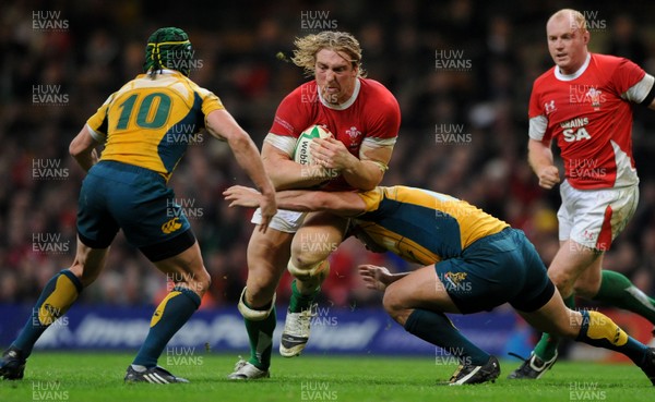 28.11.09 - Wales v Australia - Invesco Perpetual Series 2009 - Wales' Andy Powell. 