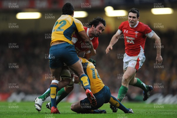 28.11.09 - Wales v Australia - Invesco Perpetual Series 2009 - Wales' Jonathan Thomas. 