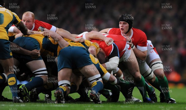 28.11.09 - Wales v Australia - Invesco Perpetual Series 2009 - Wales' Martyn Williams(L) and Dan Lydiate. 