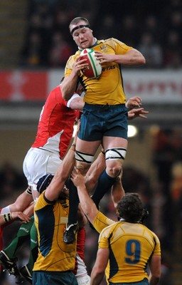 29.11.08 - Wales v Australia - Invesco Perpetual Series 2008 - Australia's Richard Brown 