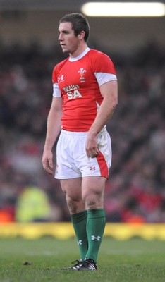 29.11.08 - Wales v Australia - Invesco Perpetual Series 2008 - Wales' Andrew Bishop. 