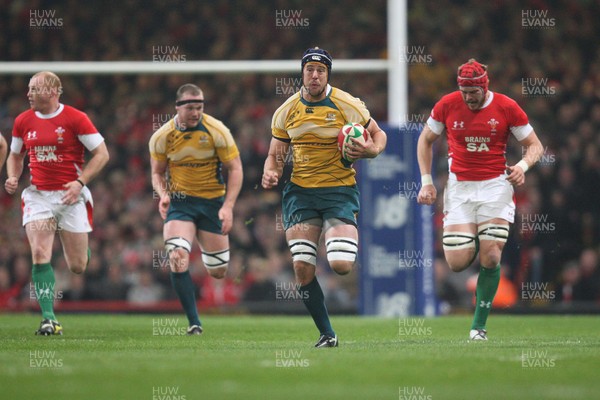 29.11.08 ... Wales v Australia, Invesco Perpetual Series 2008. -  Australia's Mark Chisholm races away to score try 