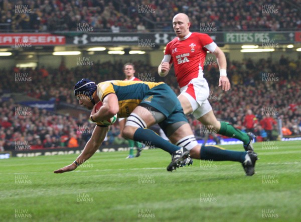 29.11.08 ... Wales v Australia, Invesco Perpetual Series 2008. -  Australia's Mark Chisholm races away to score try 
