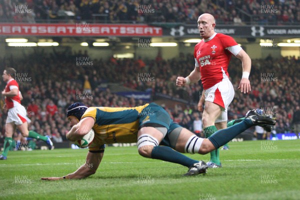 29.11.08 ... Wales v Australia, Invesco Perpetual Series 2008. -  Australia's Mark Chisholm races away to score try 