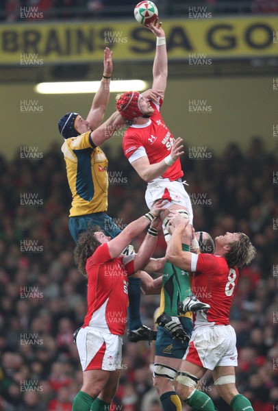29.11.08 ... Wales v Australia, Invesco Perpetual Series 2008. -  Wales' Alun-Wyn Jones takes lineout ball 