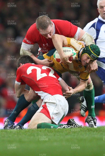 29.11.08 ... Wales v Australia, Invesco Perpetual Series 2008. -  Wales' Andrew Bishop and Gethin Jenkins tackle Australia's Matt Giteau   