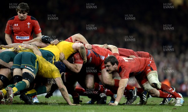 301113 - Wales v Australia - Dove Men Series 2013 -Sam Warburton of Wales