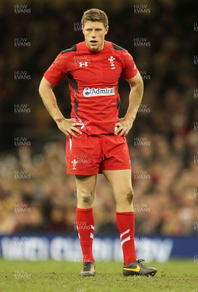 301113 - Wales v Australia - Dove Men Series - Rhys Priestland 