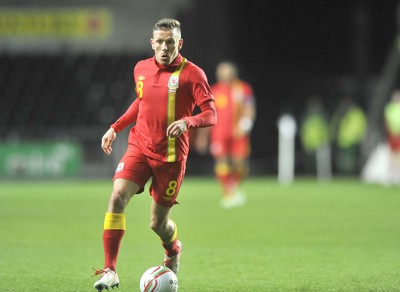 060213 - Wales v Austria - Vauxhall International Friendly Match - Swansea  -  Craig Bellamy of Wales 