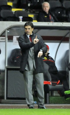 060213 - Wales v Austria - Vauxhall International Friendly Match - Swansea  -  Wales manager Chris Coleman 