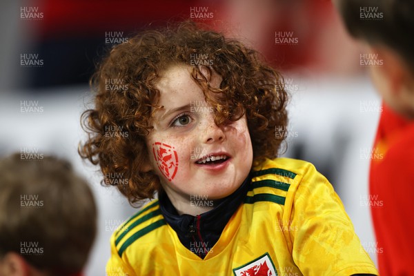 240322 - Wales v Austria - World Cup Qualifying - European - Path A - A young fan watches on