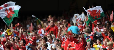 04.06.11 - Wales v Barbarians - DHL Challenge - Wales fans. 