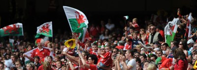 04.06.11 - Wales v Barbarians - DHL Challenge - Wales fans. 